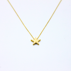 Yıldız Kolye