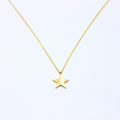 Yıldız Kolye